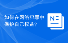 如何在网络犯罪中保护自己权益？