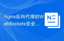 Nginx反向代理的WebSockets安全