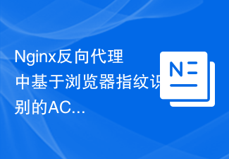 Nginx反向代理程式中基於瀏覽器指紋辨識的ACL配置