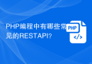 PHP编程中有哪些常见的REST API？