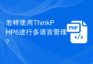 다국어 관리를 위해 ThinkPHP6을 사용하는 방법은 무엇입니까?