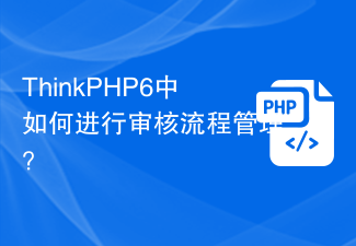 Bagaimana untuk menguruskan proses semakan dalam ThinkPHP6?