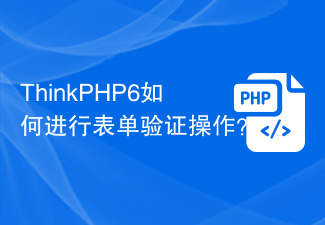 ThinkPHP6에서 양식 유효성 검사를 수행하는 방법은 무엇입니까?