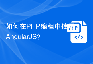 Wie verwende ich AngularJS in der PHP-Programmierung?