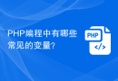 PHP编程中有哪些常见的变量？