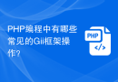 PHP编程中有哪些常见的Gii框架操作？