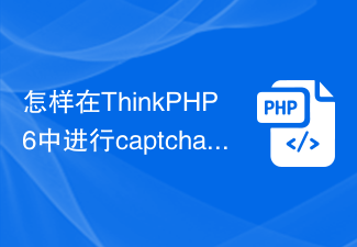 Bagaimana untuk melaksanakan operasi kod pengesahan grafik captcha dalam ThinkPHP6?