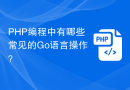 PHP编程中有哪些常见的Go语言操作？