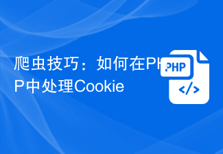 Crawler-Tipps: Umgang mit Cookies in PHP