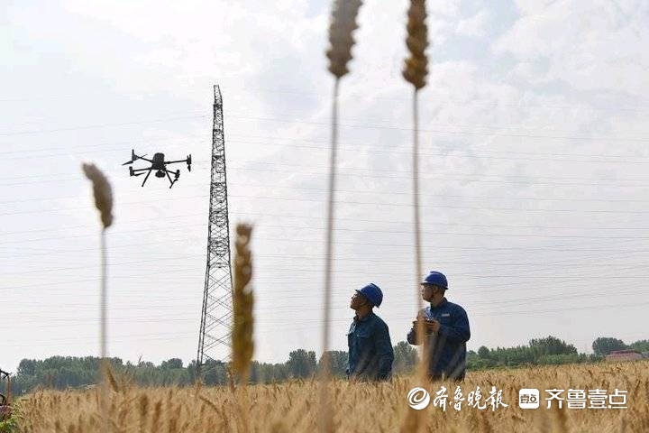 Pendant les « Trois étés », lagriculture active assure lapprovisionnement en électricité et des drones patrouillent sur les lignes à haute tension à haute altitude