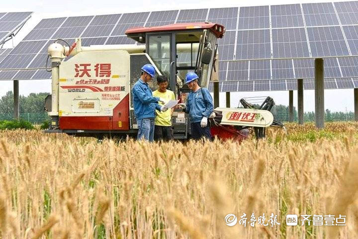 Pendant les « Trois étés », lagriculture active assure lapprovisionnement en électricité et des drones patrouillent sur les lignes à haute tension à haute altitude