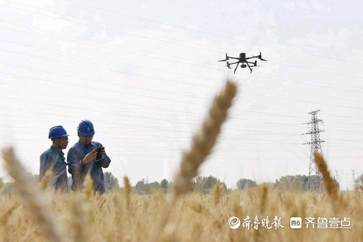 Pendant les « Trois étés », lagriculture active assure lapprovisionnement en électricité et des drones patrouillent sur les lignes à haute tension à haute altitude