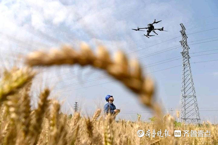 Pendant les « Trois étés », lagriculture active assure lapprovisionnement en électricité et des drones patrouillent sur les lignes à haute tension à haute altitude