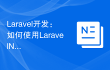 Laravel开发：如何使用Laravel Nova快速生成后台管理？