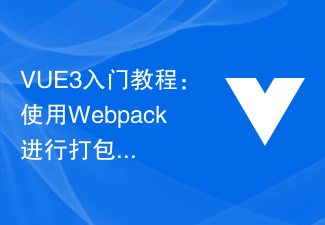 Tutoriel de démarrage VUE3 : empaquetage et création avec Webpack