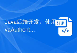 Java-Backend-Entwicklung: API-Authentifizierung und Autorisierung mithilfe des Java Authentication and Authorization Service