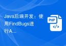 Java后端开发：使用FindBugs进行API代码静态分析
