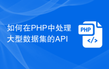 如何在PHP中处理大型数据集的API