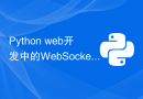 Python web开发中的WebSocket优化技巧
