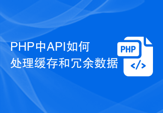 Cara API mengendalikan caching dan data berlebihan dalam PHP