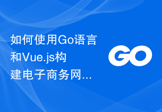 Cara membina tapak web e-dagang menggunakan bahasa Go dan Vue.js