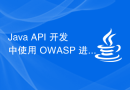 Java API 开发中使用 OWASP 进行安全审计