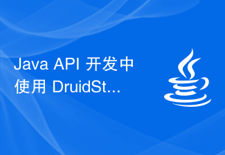 Utilisation de DruidStat pour la surveillance de bases de données dans le développement d'API Java
