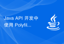 Java API 开发中使用 Polyfill 进行浏览器兼容处理
