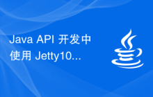 Java API 开发中使用 Jetty10 进行 Web 服务器处理
