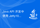 Java API 开发中使用 Jetty10 进行 Web 服务器处理