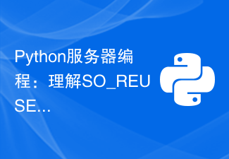 Python服务器编程：理解SO_REUSEADDR和SO_REUSEPORT