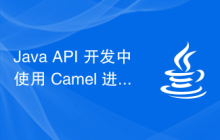 Java API 开发中使用 Camel 进行 ESB 集成