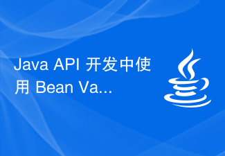 Java API 开发中使用 Bean Validation 进行参数校验