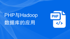 PHP 및 Hadoop 데이터베이스 적용
