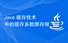 Java 缓存技术中的缓存多数据存储