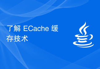 Learn about ECache caching technology