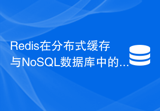 분산 캐시 및 NoSQL 데이터베이스의 Redis 적용 시나리오