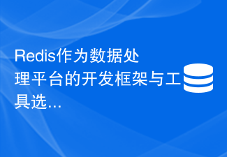 データ処理プラットフォームの開発フレームワークとツールの選択としての Redis