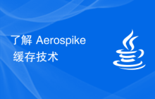 了解 Aerospike 缓存技术