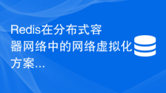 Redis在分散式容器網(wǎng)路中的網(wǎng)路虛擬化方案