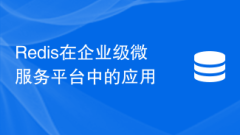Redis在企業(yè)級微服務(wù)平臺的應(yīng)用