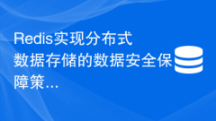 Redis實(shí)現(xiàn)分散式資料儲存的資料安全保障策略