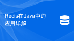 Redis在Java中的應(yīng)用詳解
