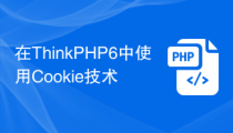在ThinkPHP6中使用Cookie技术