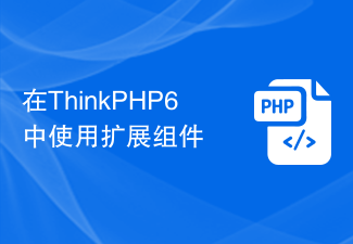 在ThinkPHP6中使用扩展组件
