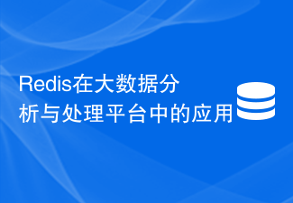 Redis在大數據分析與處理平台的應用