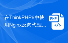 在ThinkPHP6中使用Nginx反向代理Websocket