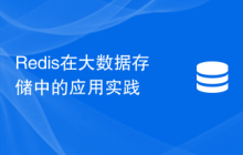Redis在大数据存储中的应用实践
