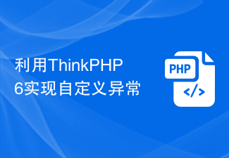 ThinkPHP6을 사용하여 사용자 정의 예외 구현