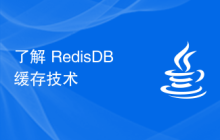 了解 RedisDB 緩存技術